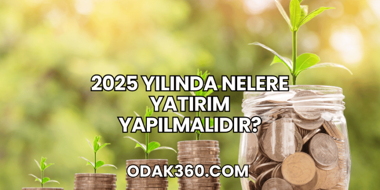 2025 Yılında Nelere Yatırım Yapılmalıdır?