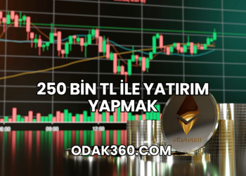 250 Bin TL ile Yatırım Yapmak