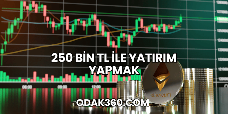 250 Bin TL ile Yatırım Yapmak