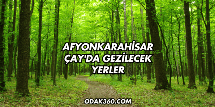 Afyonkarahisar Çay'da Gezilecek Yerler