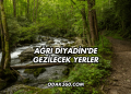 Ağrı Diyadin'de Gezilecek Yerler