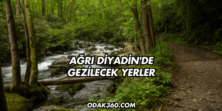 Ağrı Diyadin'de Gezilecek Yerler