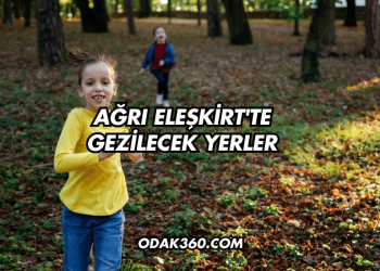 Ağrı Eleşkirt'te Gezilecek Yerler