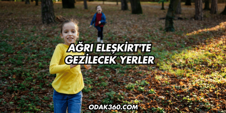 Ağrı Eleşkirt'te Gezilecek Yerler