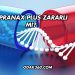 Apranax Plus Zararlı mı?