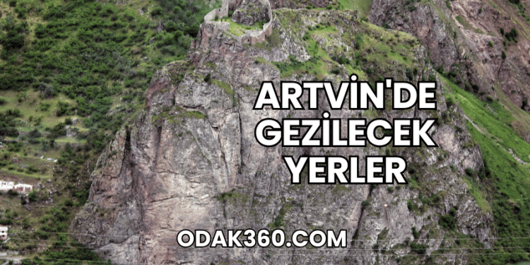 Artvin'de Gezilecek Yerler