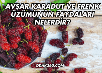 Avşar Karadut ve Frenk Üzümünün Faydaları Nelerdir?