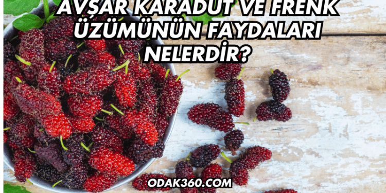 Avşar Karadut ve Frenk Üzümünün Faydaları Nelerdir?