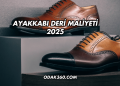 Ayakkabı Deri Maliyeti 2025