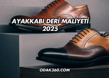 Ayakkabı Deri Maliyeti 2025
