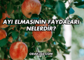 Ayı Elmasının Faydaları Nelerdir?