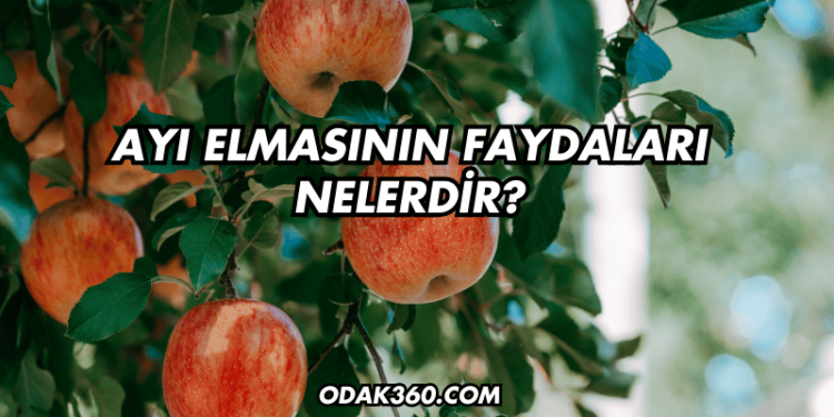 Ayı Elmasının Faydaları Nelerdir?