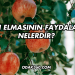 Ayı Elmasının Faydaları Nelerdir?