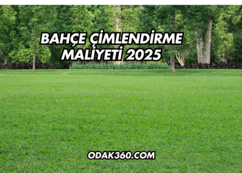Bahçe Çimlendirme Maliyeti 2025