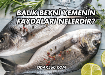Balık Beyni Yemenin Faydaları Nelerdir?