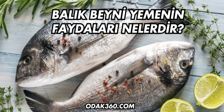 Balık Beyni Yemenin Faydaları Nelerdir?