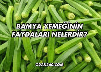 Bamya Yemeğinin Faydaları Nelerdir?
