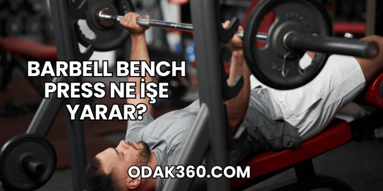 Barbell Bench Press Ne İşe Yarar?