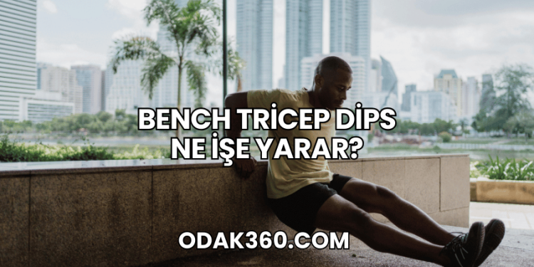 Bench Tricep Dips Ne İşe Yarar?
