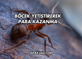 Böcek Yetiştirerek Para Kazanma