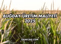 Buğday Üretim Maliyeti 2025