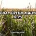Buğday Üretim Maliyeti 2025