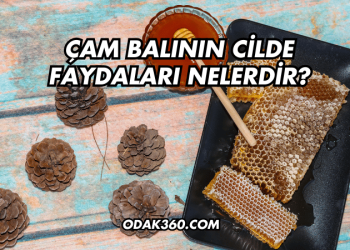 Çam Balının Cilde Faydaları Nelerdir?