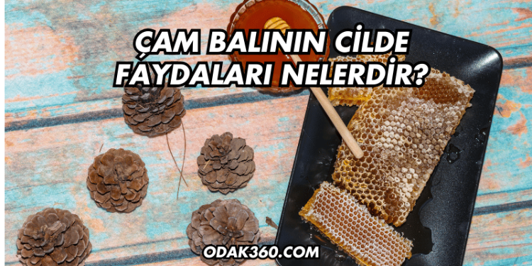 Çam Balının Cilde Faydaları Nelerdir?