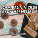 Çam Balının Cilde Faydaları Nelerdir?