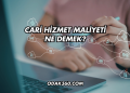 Cari Hizmet Maliyeti Ne Demek?