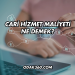 Cari Hizmet Maliyeti Ne Demek?