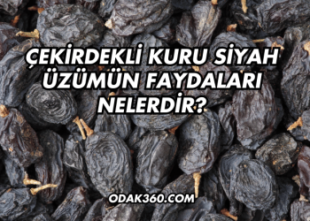 Çekirdekli Kuru Siyah Üzümün Faydaları Nelerdir?