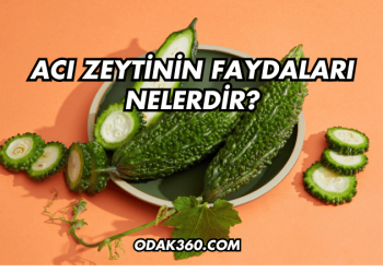 Acı Zeytinin Faydaları Nelerdir?