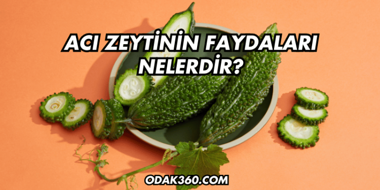 Acı Zeytinin Faydaları Nelerdir?