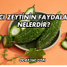 Acı Zeytinin Faydaları Nelerdir?