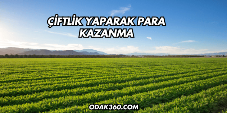 Çiftlik Yaparak Para Kazanma