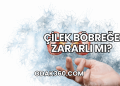 Çilek Böbreğe Zararlı mı?