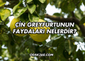 Çin Greyfurtunun Faydaları Nelerdir?