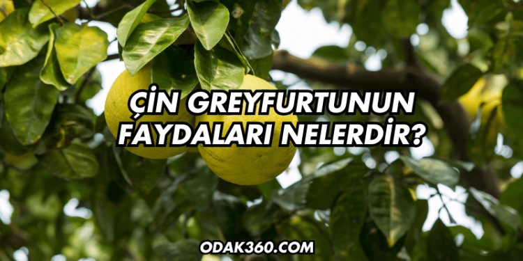 Çin Greyfurtunun Faydaları Nelerdir?