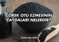 Çörek Otu Ezmesinin Faydaları Nelerdir?
