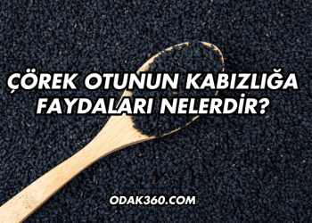 Çörek Otunun Kabızlığa Faydaları Nelerdir?