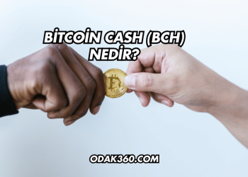 Bitcoin Cash (BCH) Nedir?