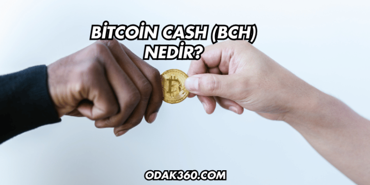 Bitcoin Cash (BCH) Nedir?