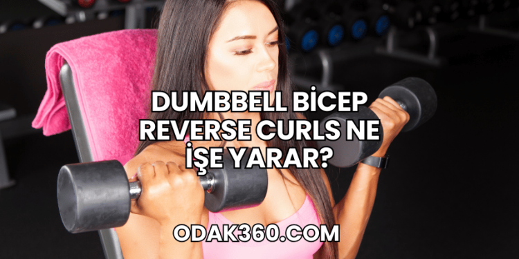 Dumbbell Bicep Reverse Curls Ne İşe Yarar?