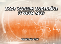 Ekos Katılım Endeksine Uygun mu?