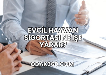 Evcil Hayvan Sigortası Ne İşe Yarar?