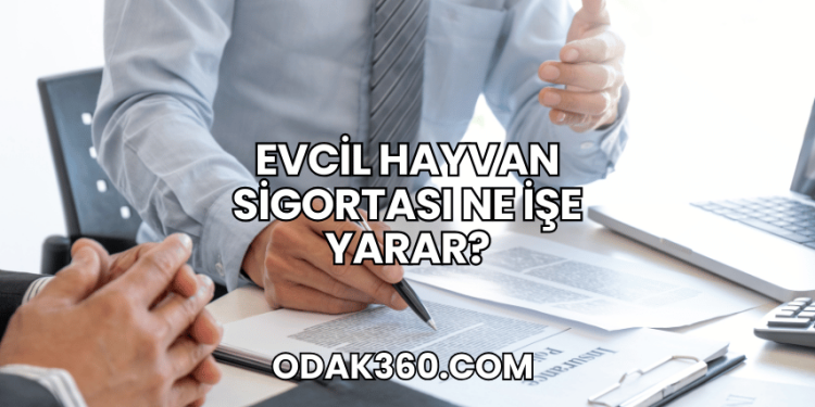 Evcil Hayvan Sigortası Ne İşe Yarar?