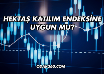 Hektaş Katılım Endeksine Uygun mu?