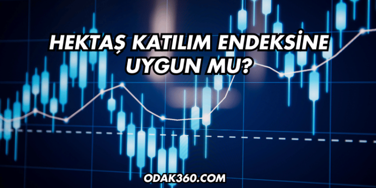 Hektaş Katılım Endeksine Uygun mu?