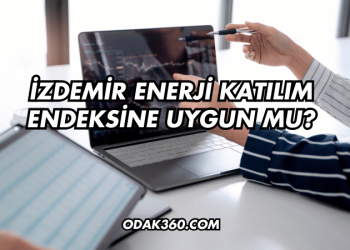 İZDEMİR Enerji Katılım Endeksine Uygun mu?